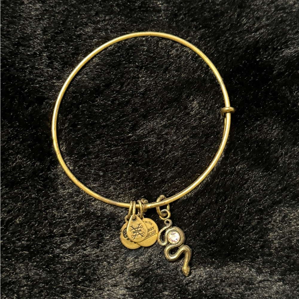 Alex and Ani Gold Snake Bracelet